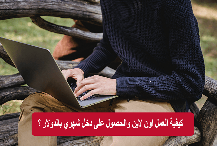 كيفية العمل اون لاين والحصول على دخل شهري بالدولار ؟! 26 كيفية العمل اون لاين من المنزل