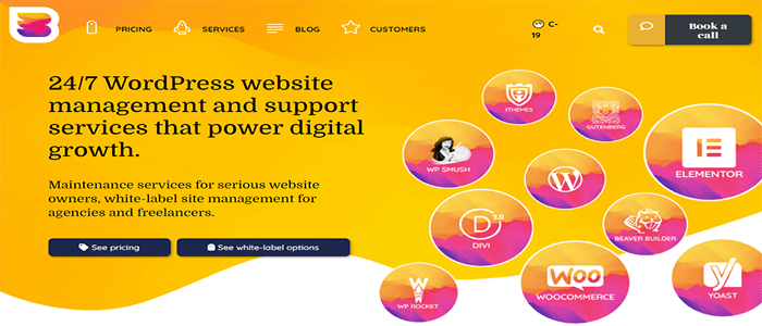 أفضل 6 خدمات صيانة مواقع ووردبريس الخاصة بك 5 wpbuffs