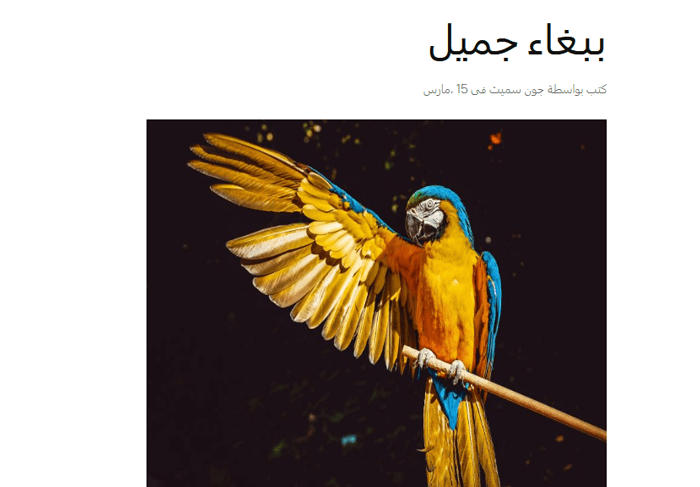 نص الصورة البديل وعنوان الصورة في ووردبريس: ما الفرق؟ 9 صفحة أرشيف العنوان البديل