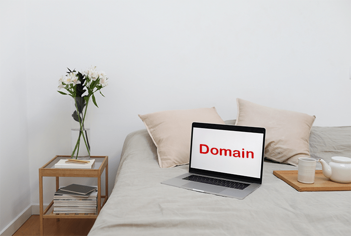 ماذا بعد شراء الدومين؟ اقرأ هذه الدليل الأن 10 ما يجب القيام به بعد شراء النطاق