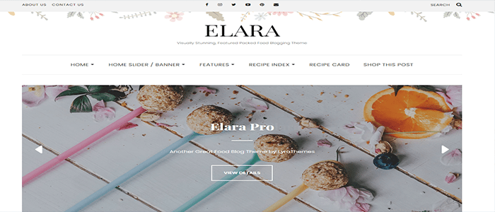 أفضل 40+ قوالب ووردبريس سريعة الاستجابة فى عام 2025 17 قوالب ووردبريس سريعة الاستجابة - Elara