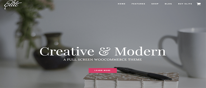 أفضل 40+ قوالب ووردبريس سريعة الاستجابة فى عام 2025 30 elitetheme