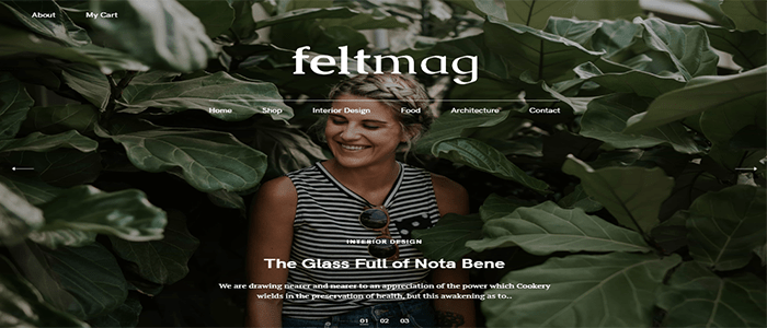 أفضل 40+ قوالب ووردبريس سريعة الاستجابة فى عام 2025 19 feltmag