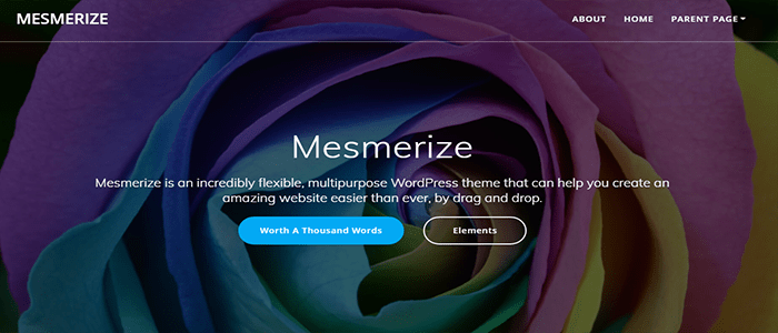 أفضل 80 قوالب ووردبريس مجانية لجميع انواع المواقع (2026) 57 قالب ووردبريس - mesmerize