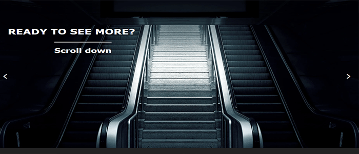 أفضل 40+ قوالب ووردبريس سريعة الاستجابة فى عام 2025 28 moesia pro