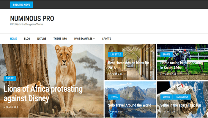 أفضل 40 قوالب ووردبريس عربية متعددة اللغات لعام 2026 23 قوالب ووردبريس عربية - Numinous Pro