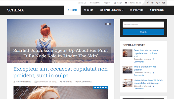 أفضل 45 قوالب ووردبريس متعددة الأغراض لعام 2026 37 قالب Schema