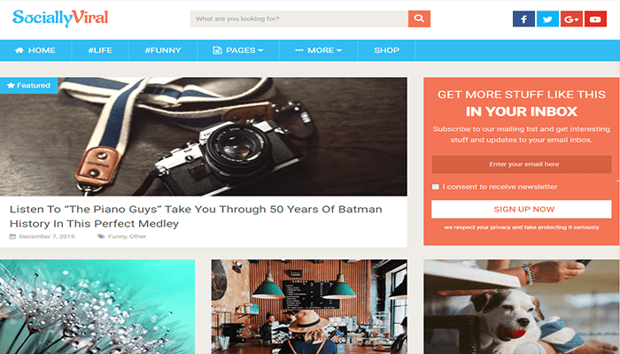 أفضل 40 قوالب ووردبريس عربية متعددة اللغات لعام 2026 31 قوالب ووردبريس عربية - SociallyViral