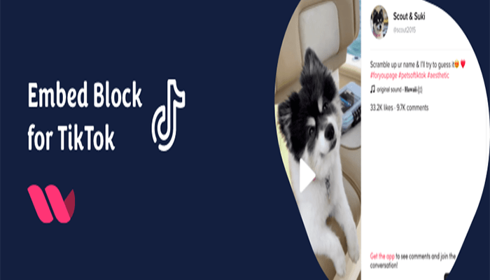 أفضل 12 اضافات تيك توك ووردبريس لدمج التيك توك بموقعك 2026 14 اضافات تيك توك - Embed Block For TikTok