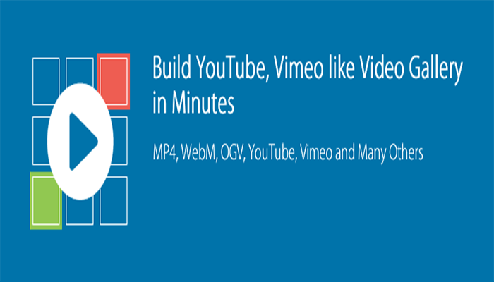 أفضل 10 اضافات مشغل فيديو ووردبريس يمكنك تجربتها لعام 2025 8 اضافات مشغل الفيديو - All-in-One Video Gallery