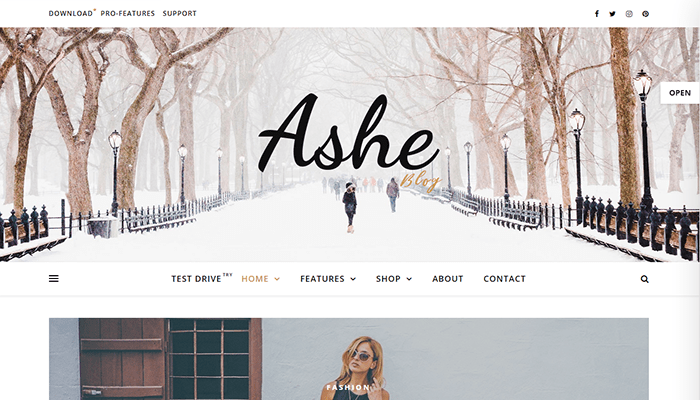 أفضل 30+ قوالب التصوير الفوتوغرافي ووردبريس لعام 2026 36 قالب ووردبريس - Ashe