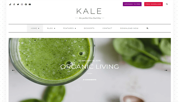 أفضل 80 قوالب ووردبريس مجانية لجميع انواع المواقع (2026) 60 قالب ووردبريس المجاني - Kale