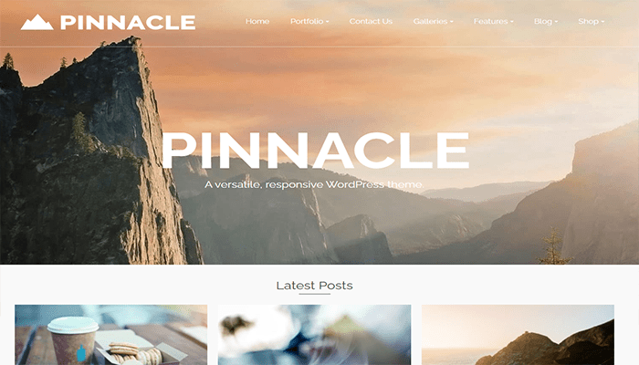 أفضل 80 قوالب ووردبريس مجانية لجميع انواع المواقع (2026) 20 افضل قالب ووردبريس - Pinnacle