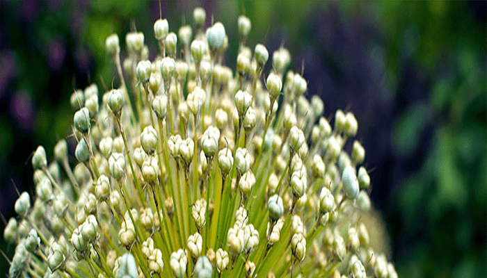 أفضل 15 اضافات سيو ووردبريس للمبتدئين والمحترفين لعام 2025 11 اضافات سيو Redirection