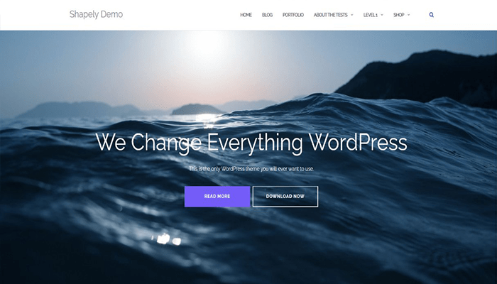 أفضل 80 قوالب ووردبريس مجانية لجميع انواع المواقع (2026) 34 قالب Shapely