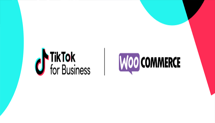 أفضل 12 اضافات تيك توك ووردبريس لدمج التيك توك بموقعك 2026 4 اضافات ووردبريس تيك توك - TikTok