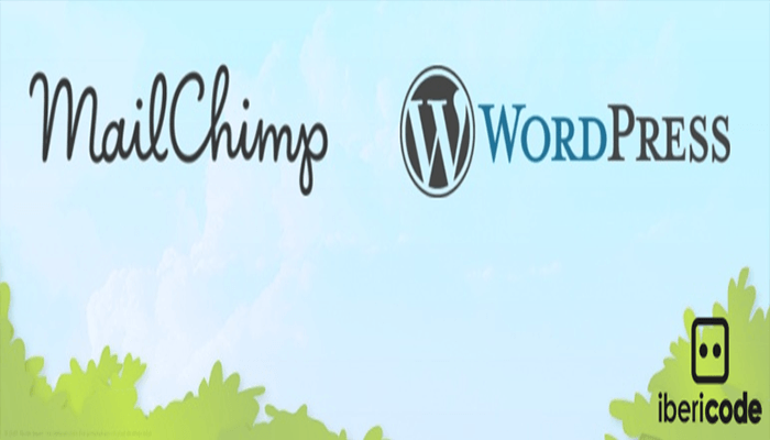 أفضل 40+ اضافات ووردبريس الأكثر شهرة لعام 2025 15 Mailchimp for WordPress Plugin