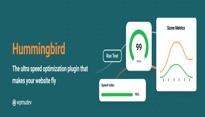 افضل 25+ اضافات متعددة المواقع ووردبريس لعام 2025 10 اضافة ووردبريس Hummingbird
