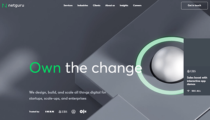 افضل 40 شركات تطوير مواقع الكترونية فى عام 2026 11 شركة تطوير الويب - Net Guru