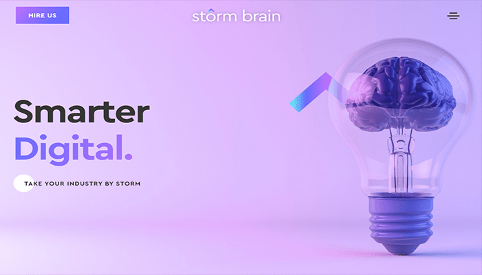 افضل 40 شركات تطوير مواقع الكترونية فى عام 2026 37 stormbrain homepage