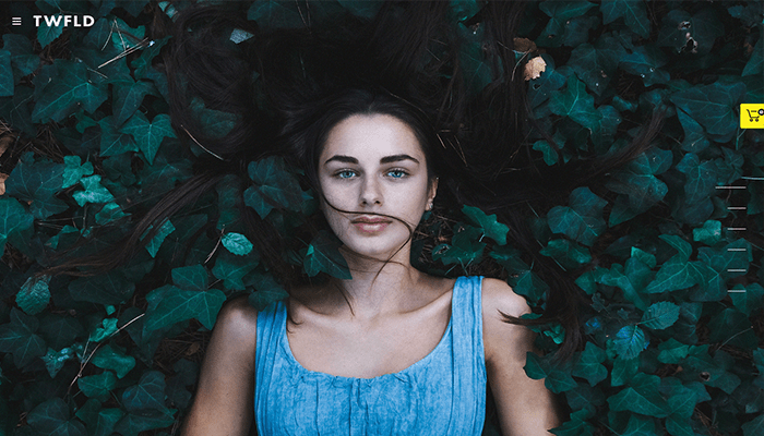 أفضل 30+ قوالب التصوير الفوتوغرافي ووردبريس لعام 2026 28 twofold wordpress theme