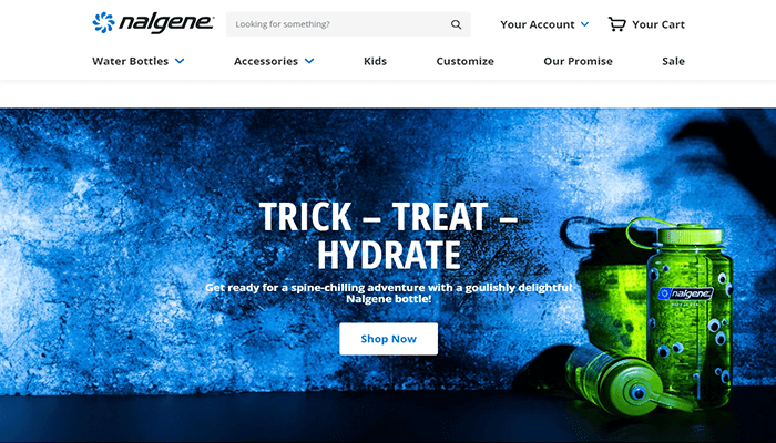 ما هو ووردبريس؟ وكيف يعمل وكيف تبدأ باستخدامه؟ دليل المبتدئين 14 Nalgene الصفحة الرئيسية