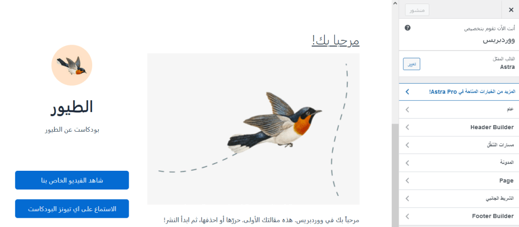 ما هو سيدبار ووردبريس؟ وكيفية إنشائه وكيف يعمل! 18 astra settings