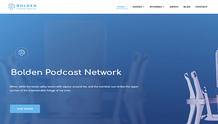 أفضل 25+ قوالب ووردبريس مدفوعة منظمة ومرتبة لعام 2025 31 bolden wordpress theme