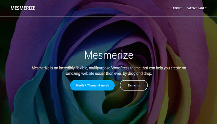 أفضل 45 قوالب ووردبريس متعددة الأغراض لعام 2026 15 قالب متعددة الأغراض Mesmerize