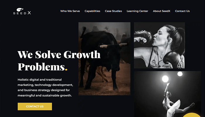 أفضل 29 وكالات تسويق رقمي لزيادة المبيعات فى عام 2026 7 seedx homepage