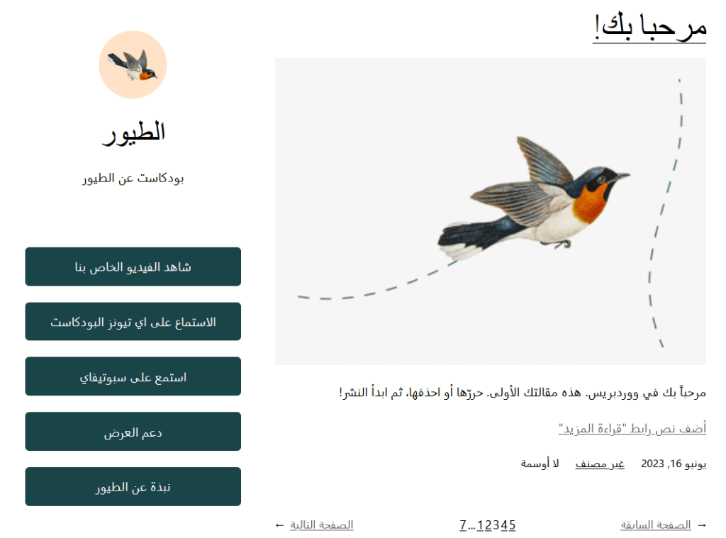 ما هو سيدبار ووردبريس؟ وكيفية إنشائه وكيف يعمل! 12 wordpress sidebar example