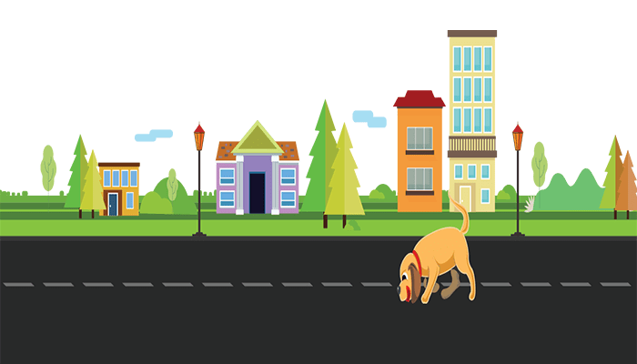 كيفية تخصيص نتائج صفحة بحث ووردبريس 5 Ivory Search Plugin