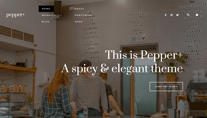 أفضل 45 قوالب ووردبريس متعددة الأغراض لعام 2026 42 Pepper Plus theme