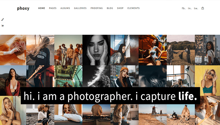 أفضل 8 قوالب معرض ووردبريس لعرض أعمالك بشكل مذهل 11 قالب معرض ووردبريس Phoxy