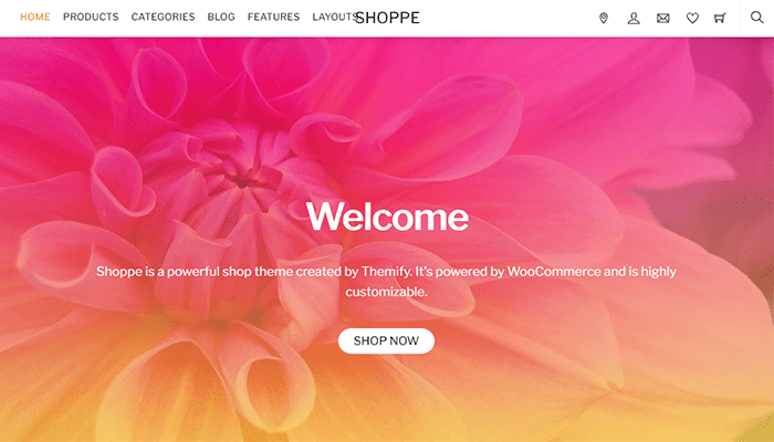 أفضل 45 قوالب ووردبريس متعددة الأغراض لعام 2026 38 shoppe theme