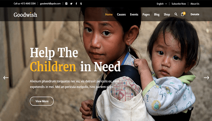 أفضل 19 قوالب غير ربحية ووردبريس للمنظمات الخيرية 17 Goodwish WordPress Theme