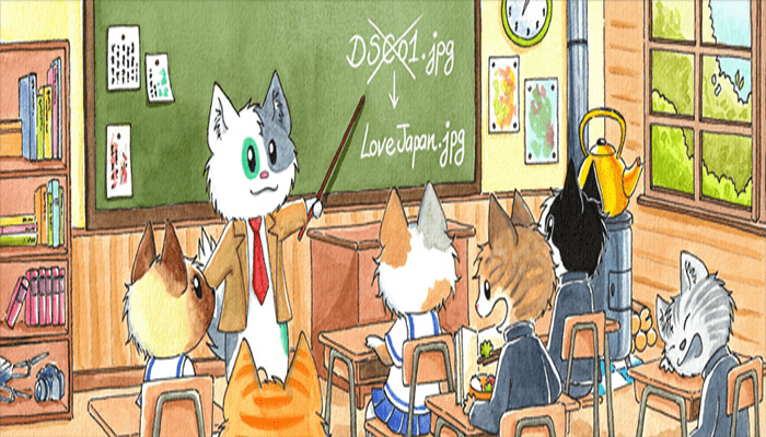 20+ إضافات ووردبريس رائعة لإدارة الصور 14 Media File Renamer