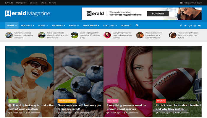 افضل 25 قوالب ووردبريس تقنية للمدونات لعام 2026 16 herald