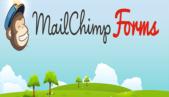 افضل 8 اضافات ميل تشيمب ووردبريس المجانية 4 اضافة ميل تشيمب MailChimp Forms by MailMunch