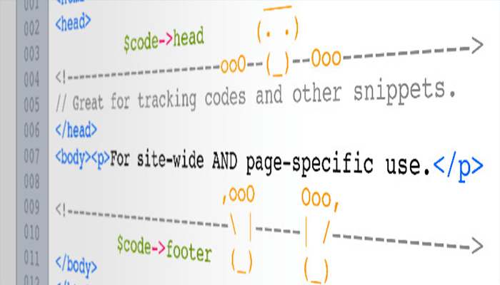 أفضل اضافات فوتر ووردبريس المجانية 4 addfunc head footer code