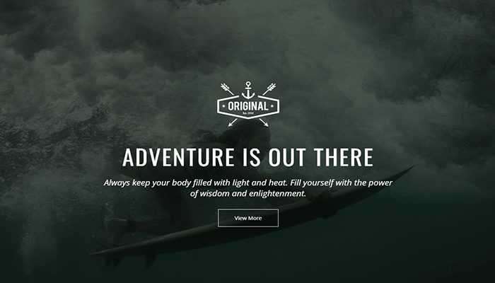 أفضل 15+ قوالب ووردبريس المظلمة لعام 2026 14 vigor wordpress theme