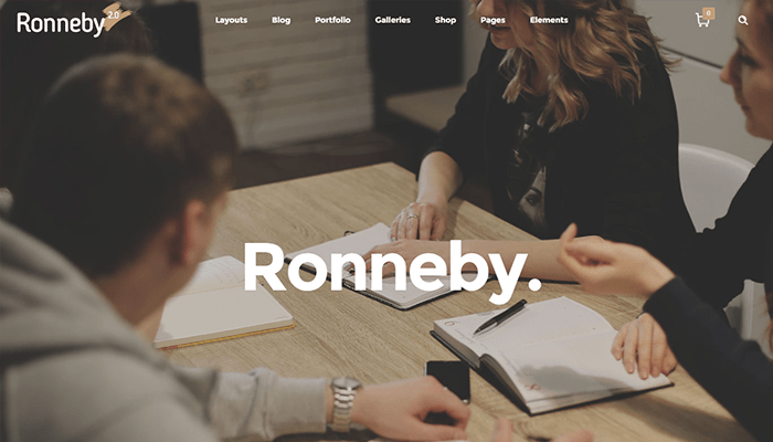 أفضل 15+ قوالب ووردبريس للمبرمجين في عام 2026 7 wordpress ronneby theme