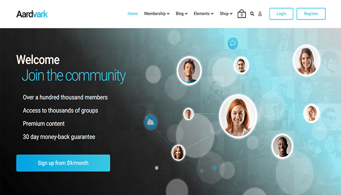 أفضل 15+ قوالب ووردبريس المجتمعية لإنشاء مجتمعك الخاص! 7 aardvark community theme