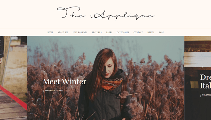 أفضل 35+ قوالب مدونة ووردبريس لعام 2026 31 applique beauty theme