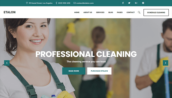 افضل 20 قوالب ووردبريس البستنة والمناظر الطبيعية 14 etalon cleaning wordpress theme