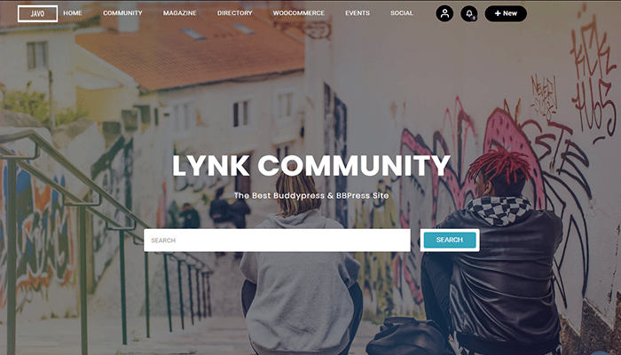 أفضل 15+ قوالب ووردبريس المجتمعية لإنشاء مجتمعك الخاص! 16 lynk social networking and community wordpress theme