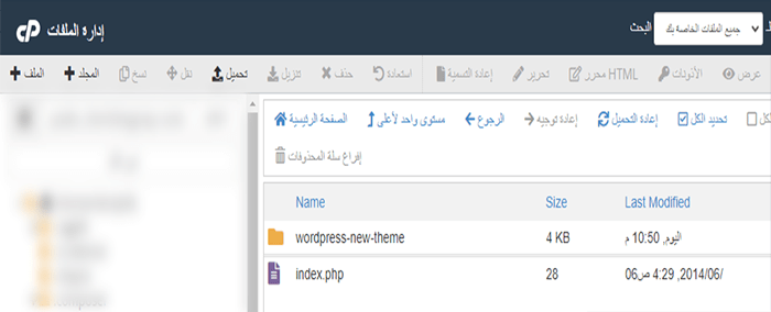 كيفية تحديث قالب ووردبريس: أفضل الممارسات للترقية السلسة 9 Wordpress update cpanel file manager 2