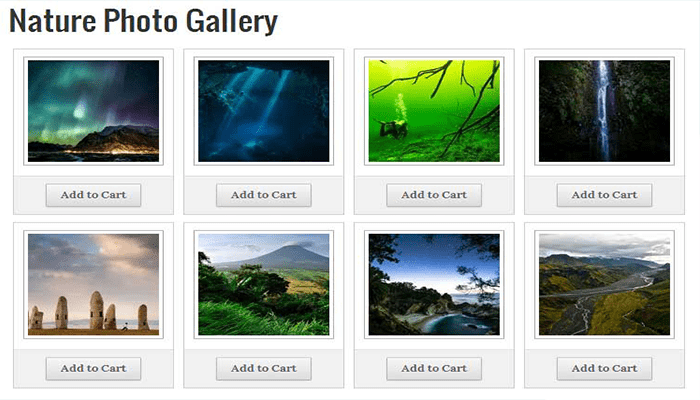 كيفية بيع الصور عبر الانترنت باستخدام ووردبريس 9 بيع الصور WordPress Photo Seller Plugin