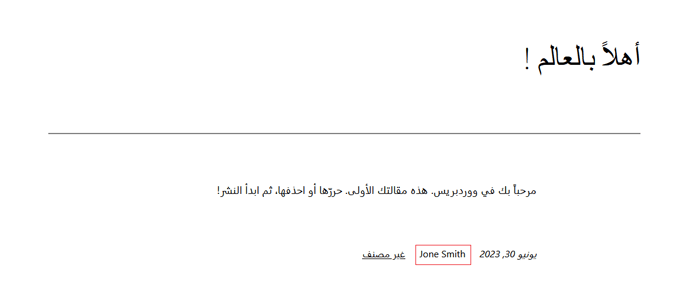 كيفية إضافة أو تغيير اسمك الكامل في ووردبريس 5 سترى الأن منشورات تعرض اسمك الكامل بدلاً من اسم المستخدم الخاص بك