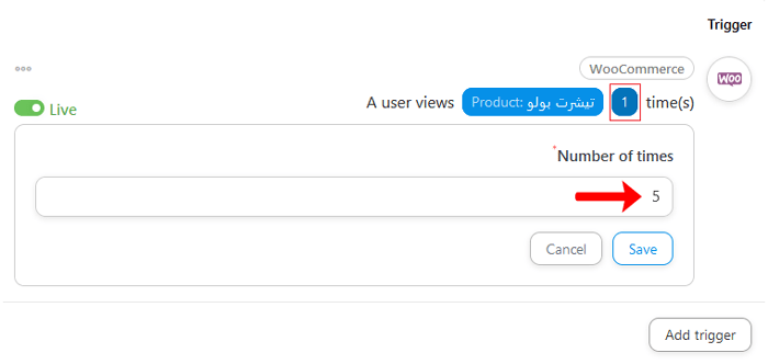 كيفية إرسال كوبونات تلقائية في ووردبريس لجلب العملاء مرة أخرى 19 product number times